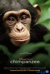 دانلود مستند شامپانزه