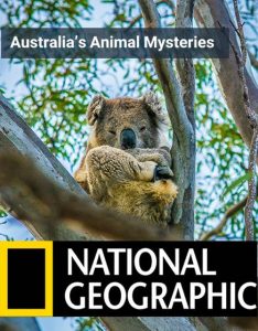 دانلود مستند اسرار حیوانات استرالیایی