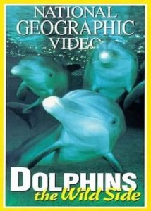 دانلود مستند دلفین های وحشی